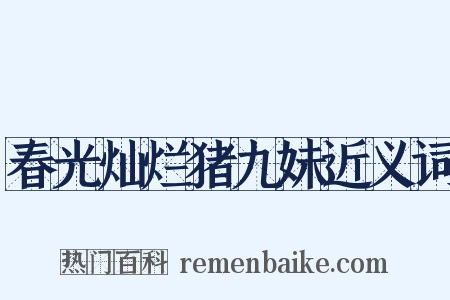 春光灿烂猪九妹近义词是什么意思的图片